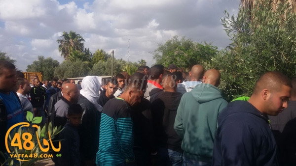 tashye3 sana3e lud (12).JPG